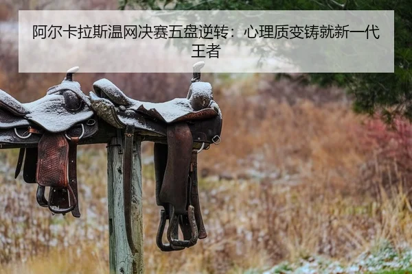 a-er-ka-la-si-wen-wang-jue-sai-wu-pan-ni-zhuan-xin-li-zhi-bian-zhu-jiu-xin-yi-dai-wang-zhe-2-732.jpg