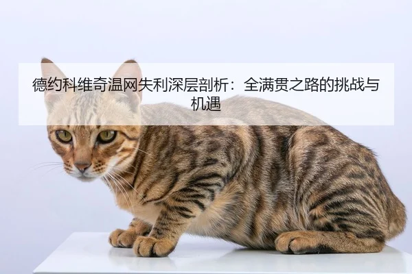 德约科维奇温网失利深层剖析：全满贯之路的挑战与机遇